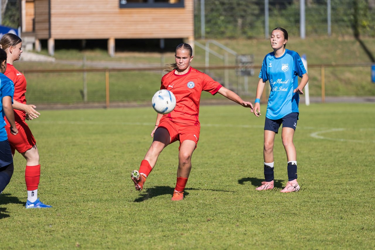 Bild 311 - wBJ TuS Rotenhof - Holstein Kiel : Ergebnis: 1:4